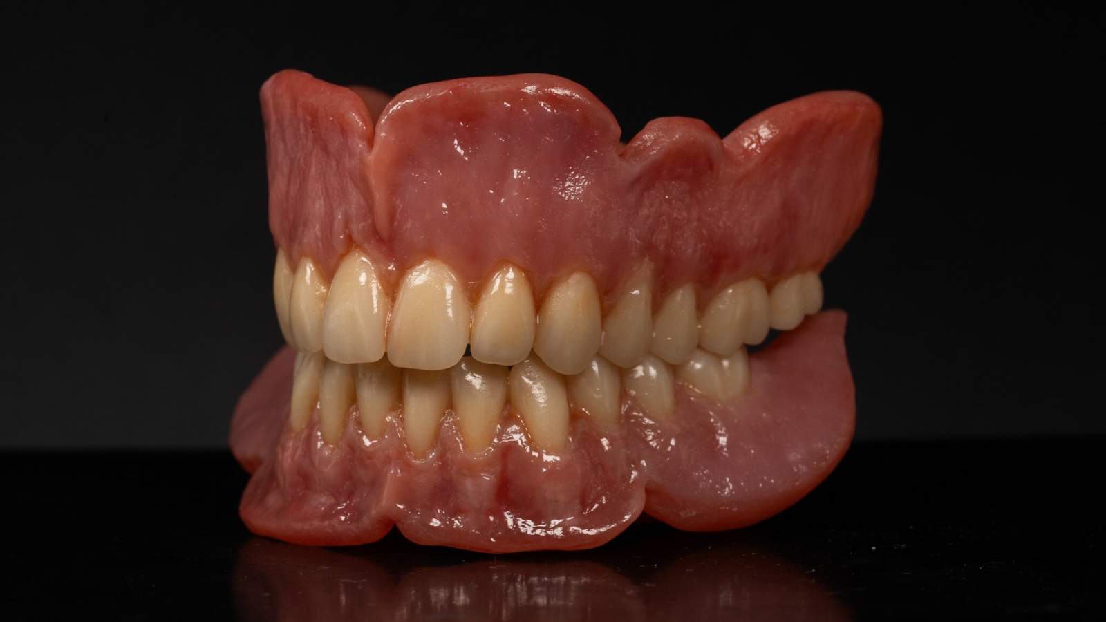 Pala Cre-active Plus_natural gingival characterisation