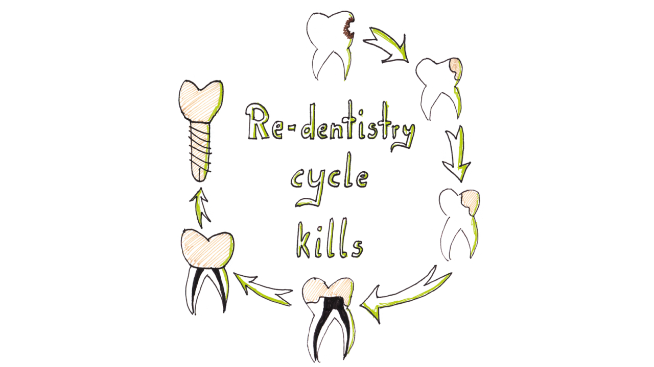 Re-dentistry_cycle