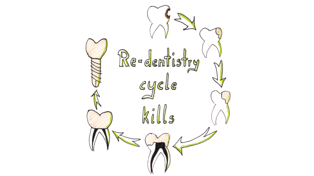 Re-dentistry_cycle