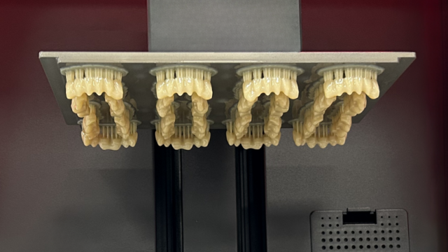 dima Print Denture Teeth