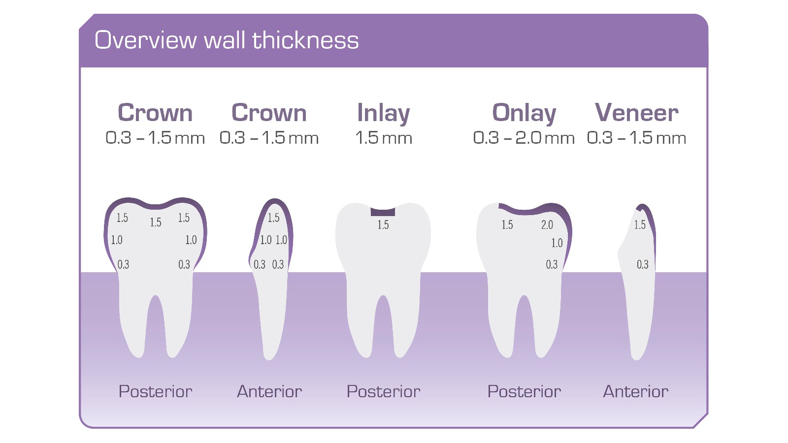dima print Teeth & Temp