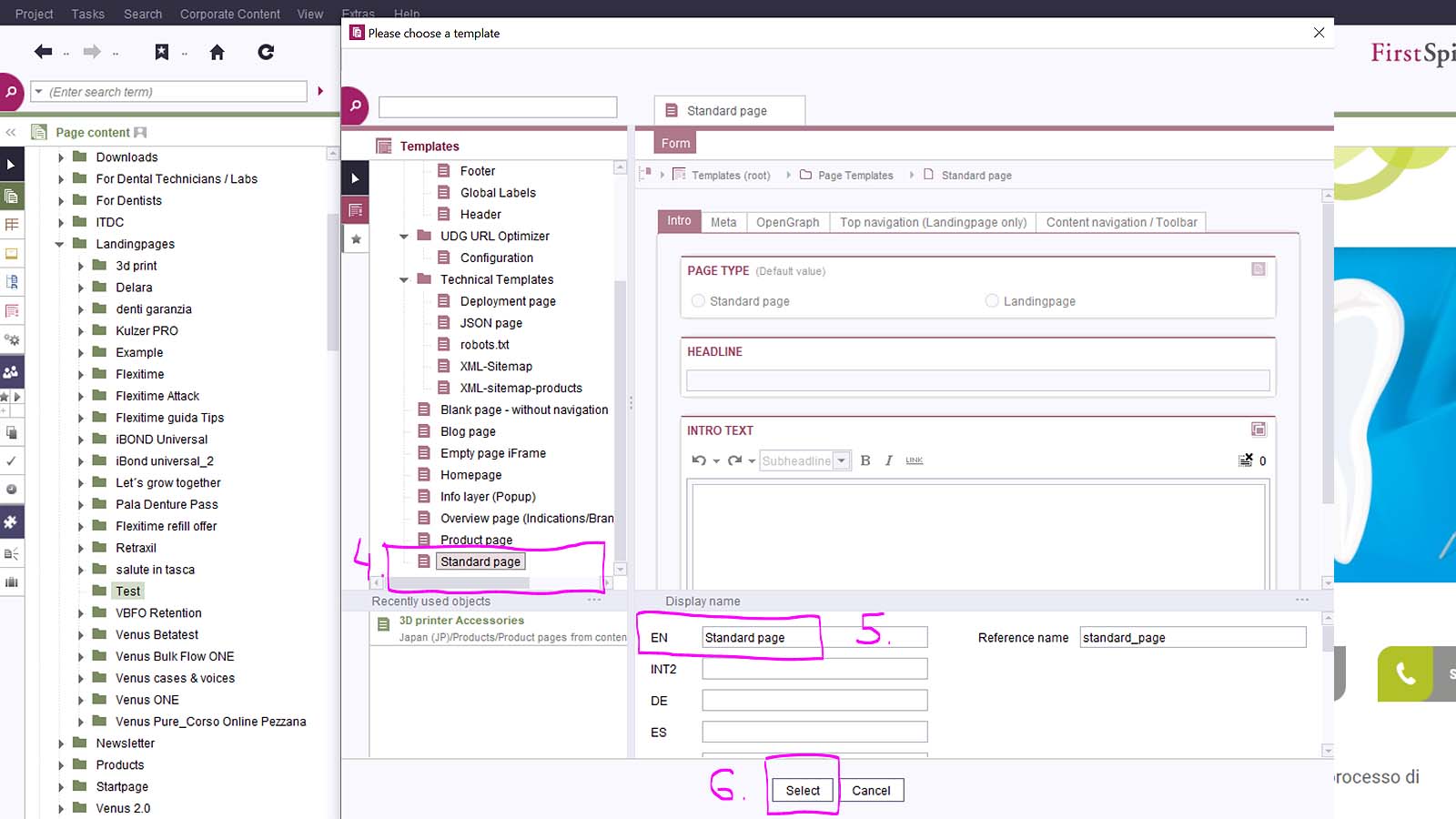 Creating new page in First Spirit