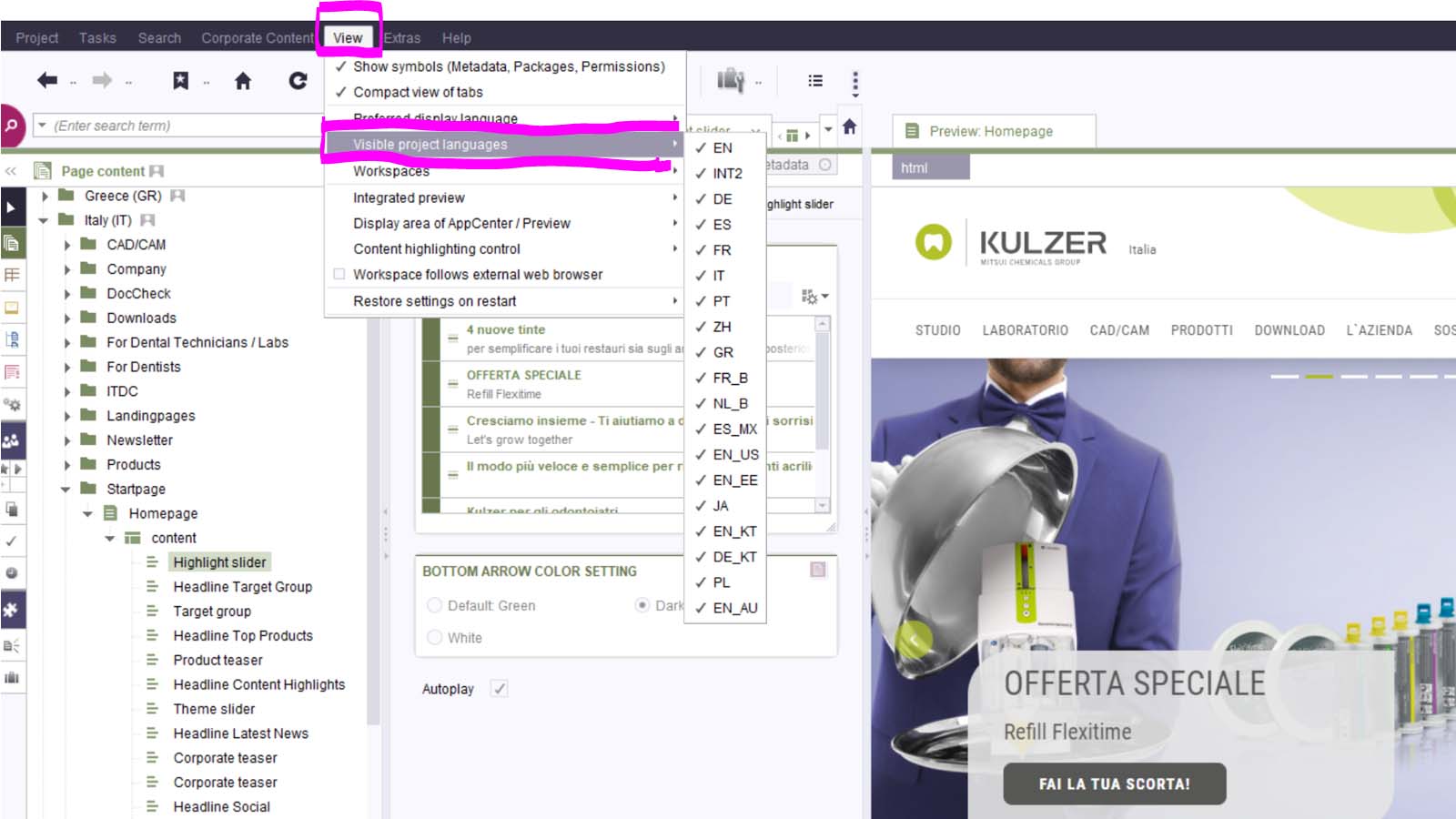 FS: Preferred display language